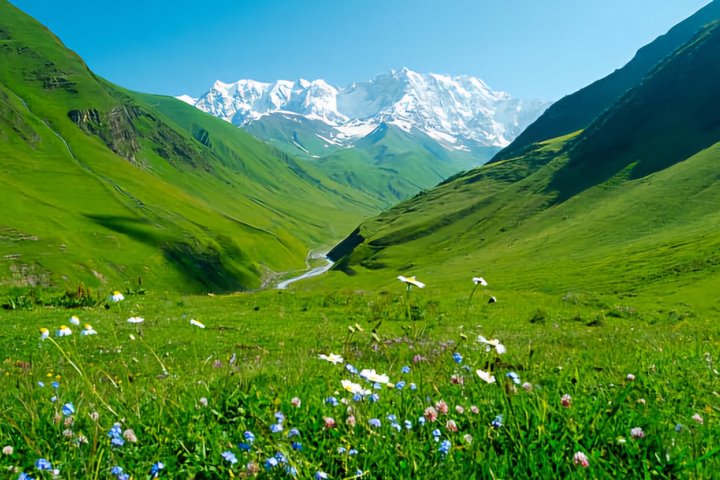 Tour privato di un giorno da Kutaisi al Passo di Svaneti Zagar e Ushguli