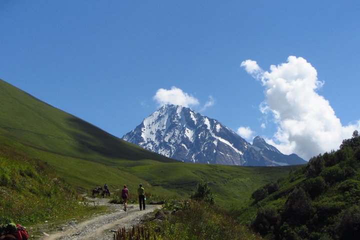 Tour privato di un giorno da Kutaisi al Passo di Svaneti Zagar e Ushguli