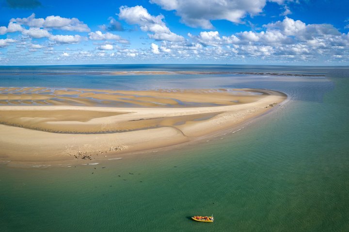 Observação de focas de Scroby Sands