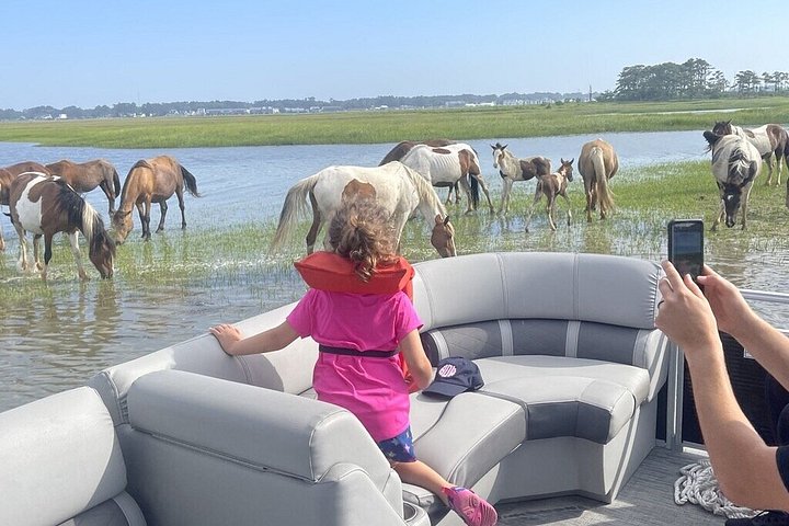 Grand Boat Tour van Chincoteague en Assateague met kapitein John