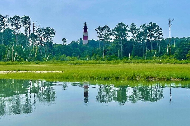 Grand Boat Tour van Chincoteague en Assateague met kapitein John