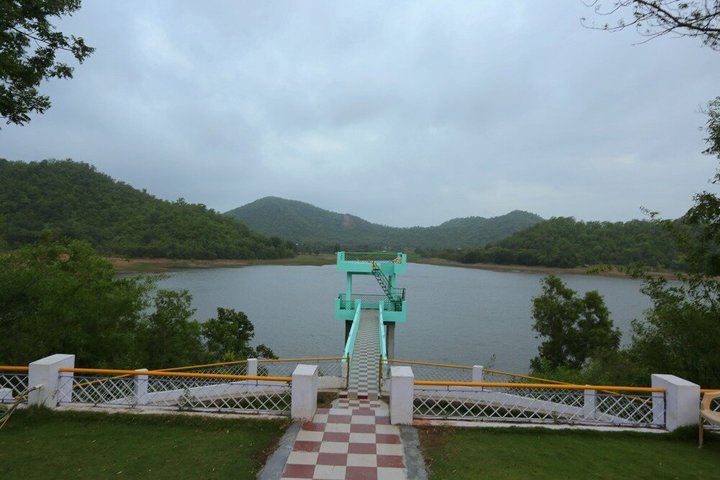Jambughoda Wildlife & Tribal Tour au départ de Vadodara
