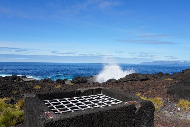 Tour privato del vino di Pico Island con degustazioni