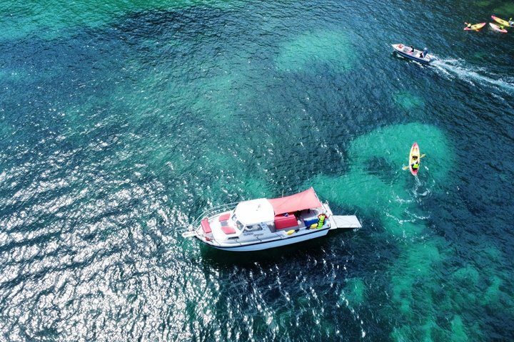 Kajaktour in kleiner Gruppe zu den Ponta da Piedade-Höhlen – Lagos