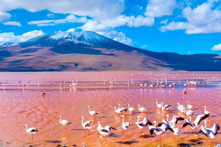 Uyuni Salt Flats 3 - visite d'une journée, se terminant à San Pedro de Atacama