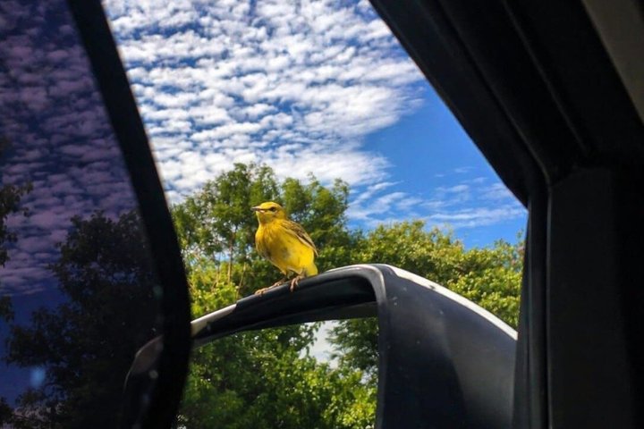 Privat rundtur i Galapaguera Cerro Colorado med entré inkluderad