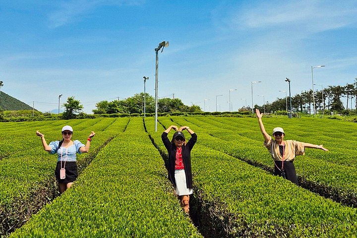 Jeju Island South UNESCO Highlights Day Tour With Mt Halla