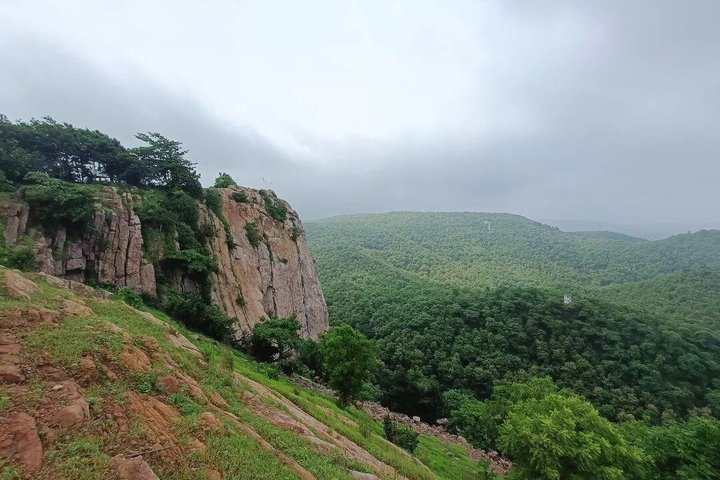 Jambughoda Wildlife & Tribal Tour au départ de Vadodara