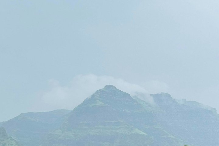 Jambughoda Wildlife & Tribal Tour au départ de Vadodara