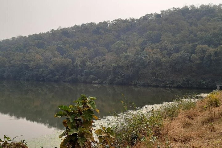 Jambughoda Wildlife & Tribal Tour au départ de Vadodara