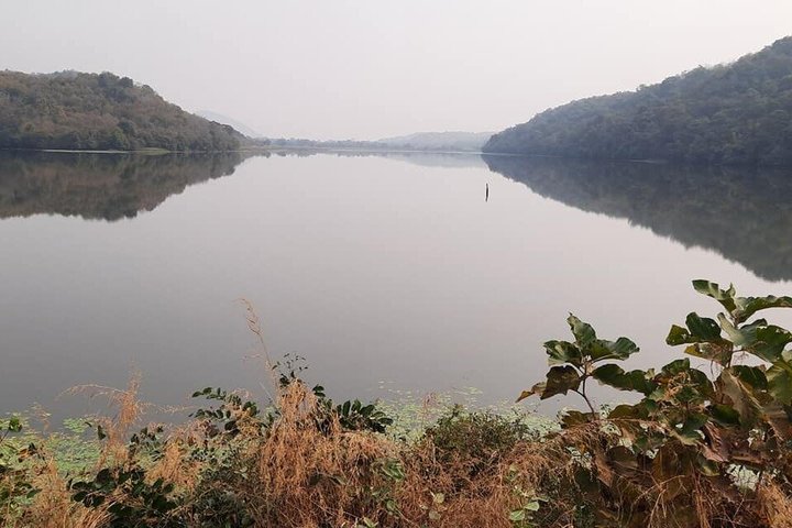 Jambughoda Wildlife & Tribal Tour au départ de Vadodara