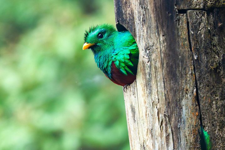 Tour del rifugio Quetzal e pernottamento nel villaggio Maya - Due giorni