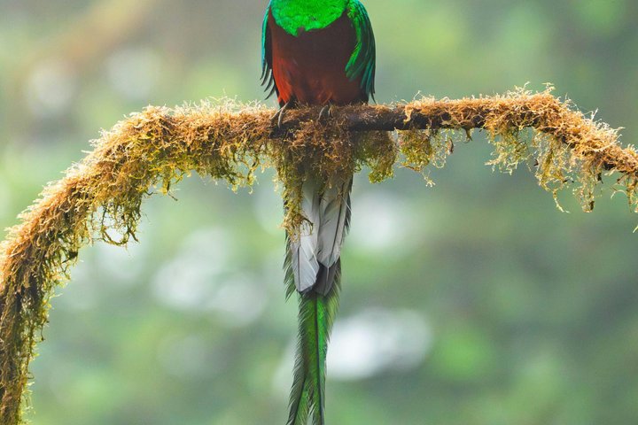 Tour del rifugio Quetzal e pernottamento nel villaggio Maya - Due giorni