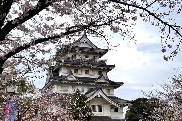 Chiba: Kimono og te seremoni på en historisk slottet hage