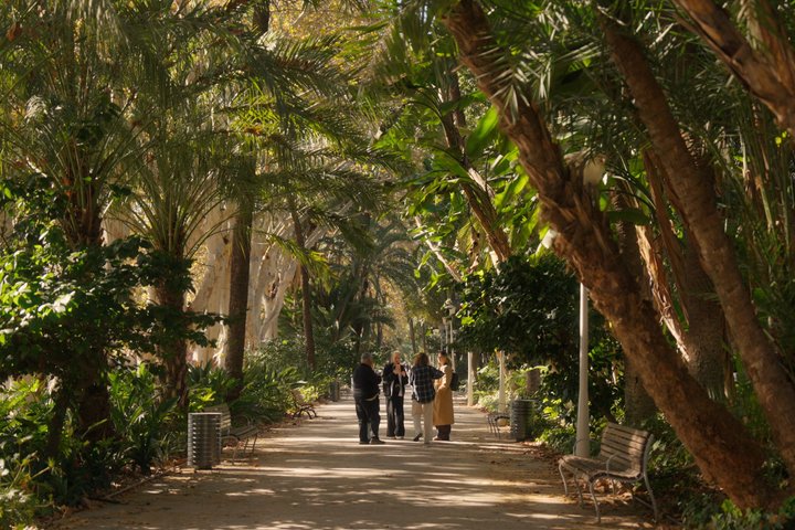 Det beste med Malaga: guidet tur til katedralen, Alcazaba og teater