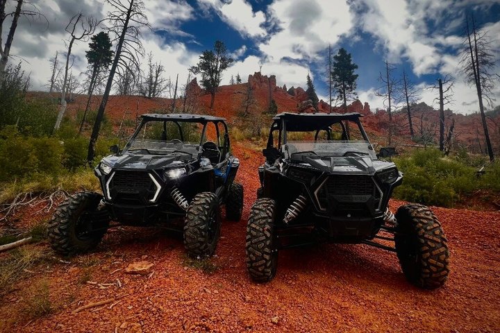 RZR Proff S4 ATV opplevelse i Duck Creek Village UT