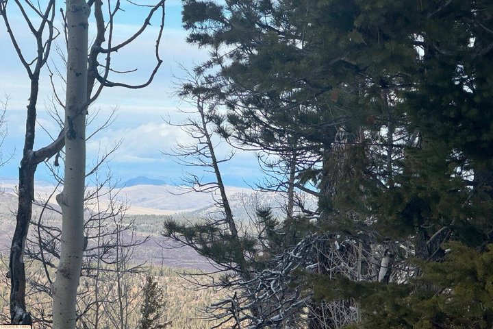 RZR Proff S4 ATV opplevelse i Duck Creek Village UT