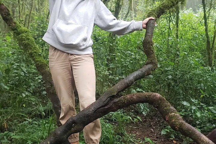 Experiencia de un día en el Kilimanjaro por KILITA SAFARIS