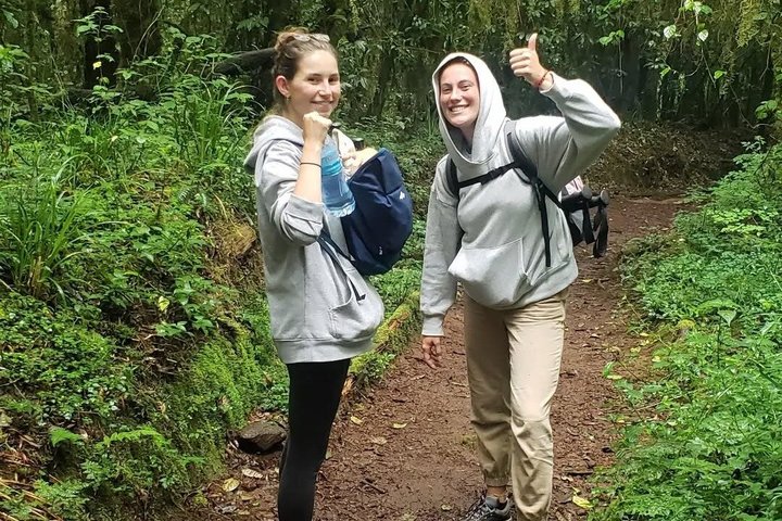 Experiencia de un día en el Kilimanjaro por KILITA SAFARIS
