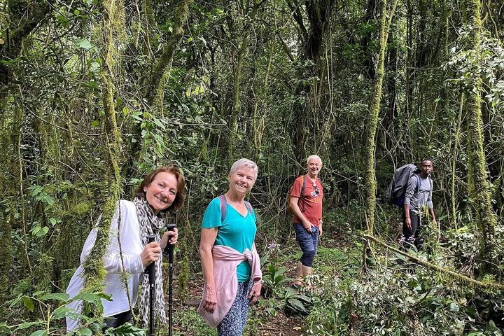 Experiencia de un día en el Kilimanjaro por KILITA SAFARIS