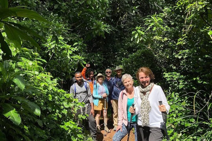Experiencia de un día en el Kilimanjaro por KILITA SAFARIS