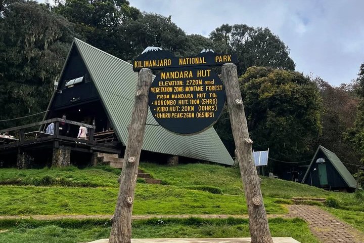 Experiencia de un día en el Kilimanjaro por KILITA SAFARIS