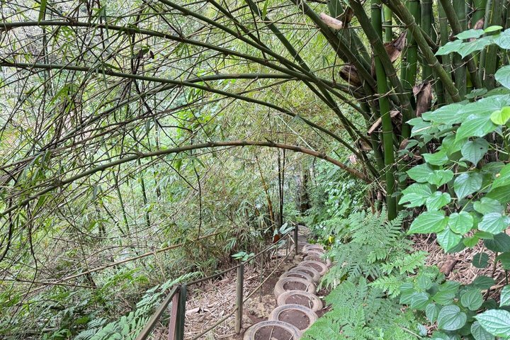 Experiencia de un día en el Kilimanjaro por KILITA SAFARIS