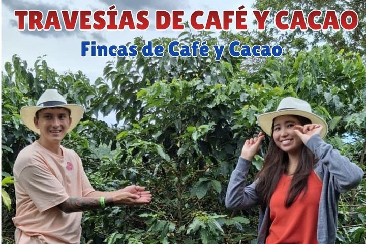 Tour privato di charme nella Valle del Cocora, Salento e Filandia