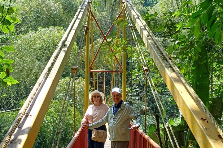 Tour privato di charme nella Valle del Cocora, Salento e Filandia