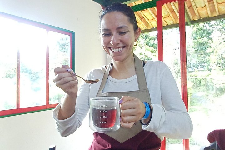 Tour privato di charme nella Valle del Cocora, Salento e Filandia