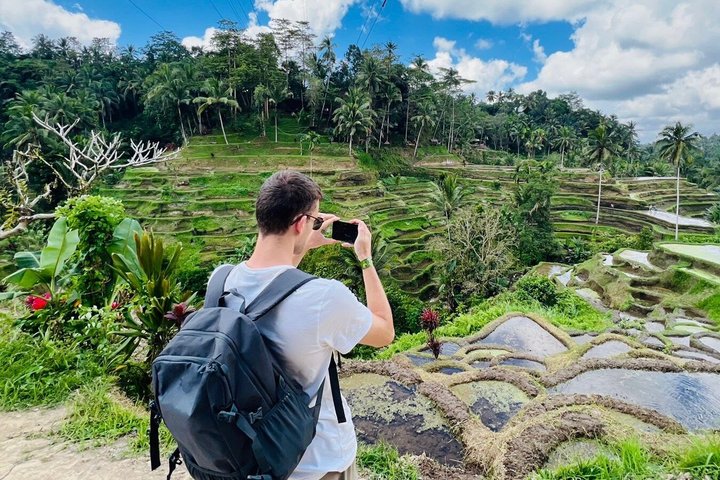 Ubud : Bosque de Monos, Terraza de Arroz, Cueva del Elefante & Tour en Cascada