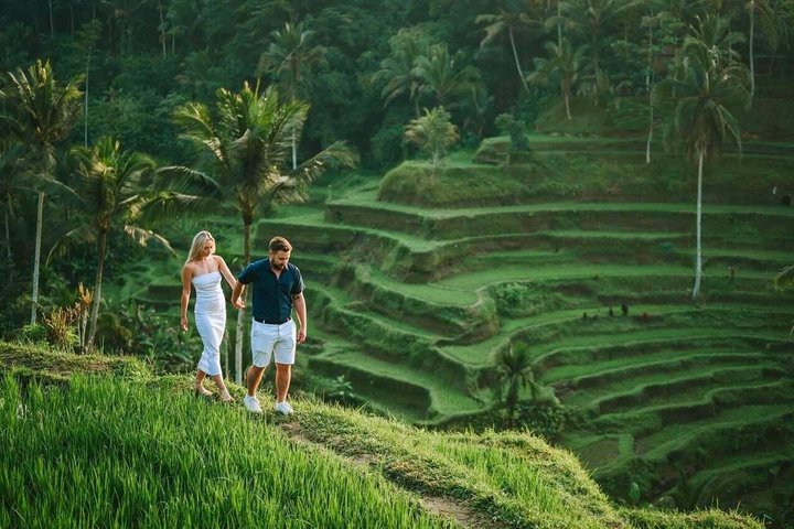 Ubud : Bosque de Monos, Terraza de Arroz, Cueva del Elefante & Tour en Cascada
