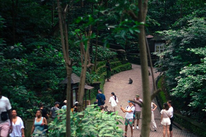 Ubud : Bosque de Monos, Terraza de Arroz, Cueva del Elefante & Tour en Cascada