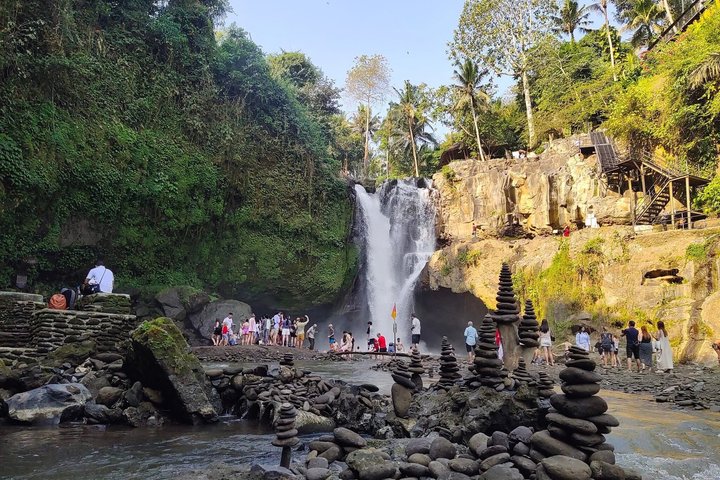 Ubud : Bosque de Monos, Terraza de Arroz, Cueva del Elefante & Tour en Cascada