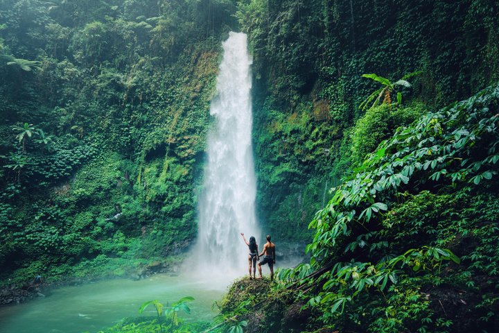 Ubud : Bosque de Monos, Terraza de Arroz, Cueva del Elefante & Tour en Cascada