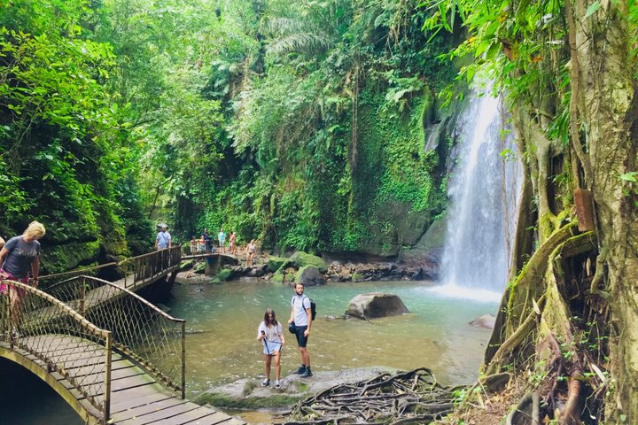 Ubud : Bosque de Monos, Terraza de Arroz, Cueva del Elefante & Tour en Cascada