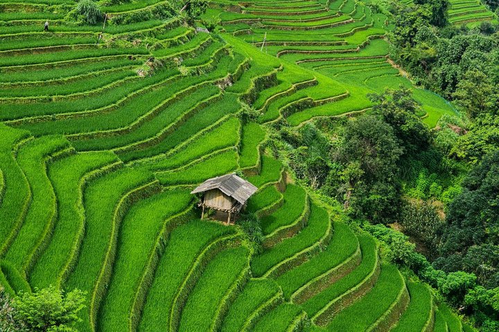 Mu Cang Chai Rundfahrt mit Ortskundiger Reiseleiter & Bienenwachsmalerei