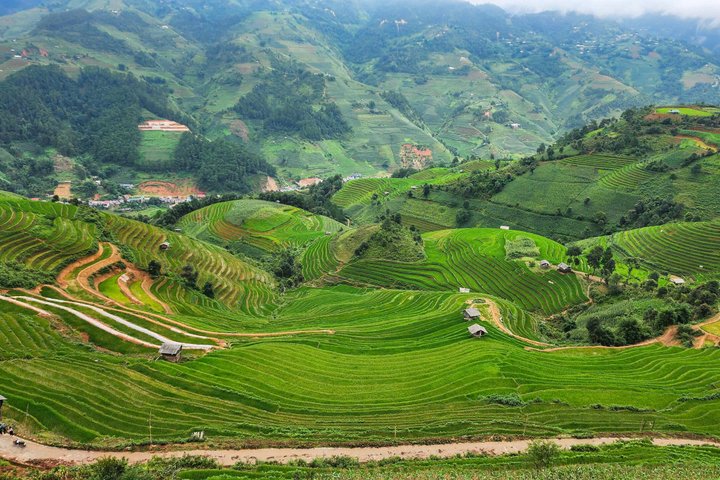 Mu Cang Chai Rundfahrt mit Ortskundiger Reiseleiter & Bienenwachsmalerei
