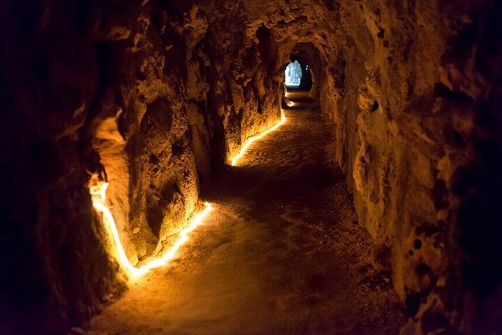 Sintra : Regaleira Guided Tour & Tickets (Add-on Pena, Monserrate)