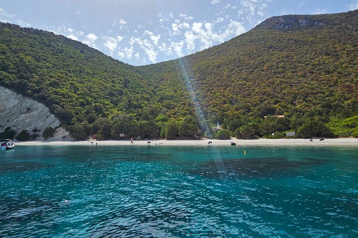 PIGS BAY en Isla ATOKOS / LEFKADA - Crucero en barco de día privado