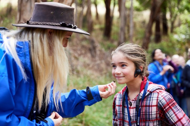 Cammina con la fauna selvatica: tour guidato in Great Ocean Road