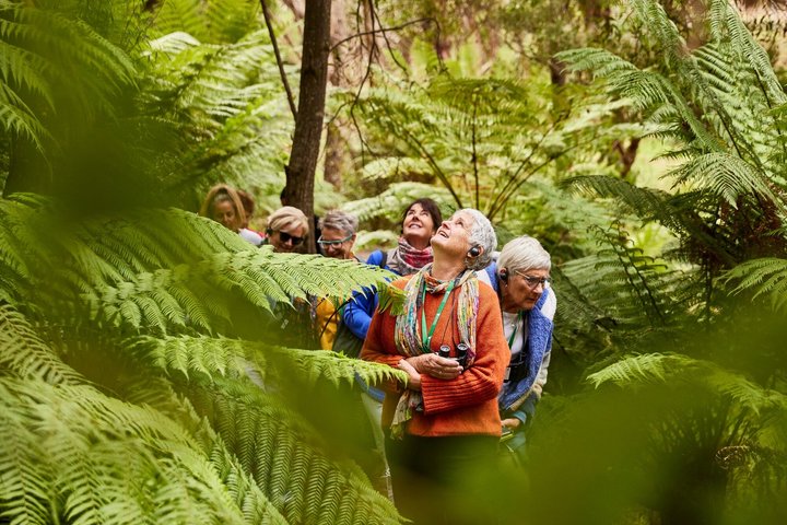 Cammina con la fauna selvatica: tour guidato in Great Ocean Road