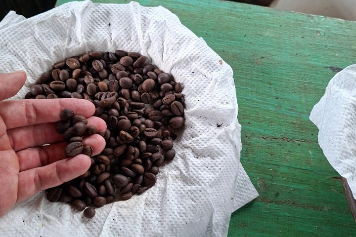 Visite de l'hôtel Coffee Plantation au complexe touristique MesaStila fr Semarang