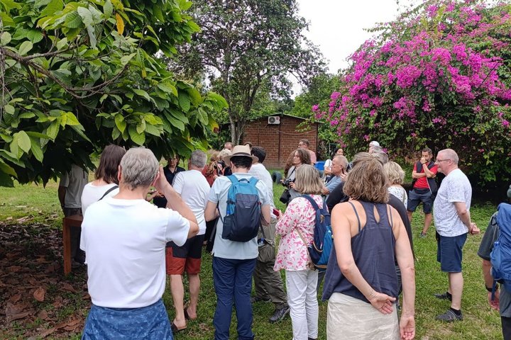 Hacienda CacaoyMango, Gastronomia, Cacao e Fabbrica di Cioccolato