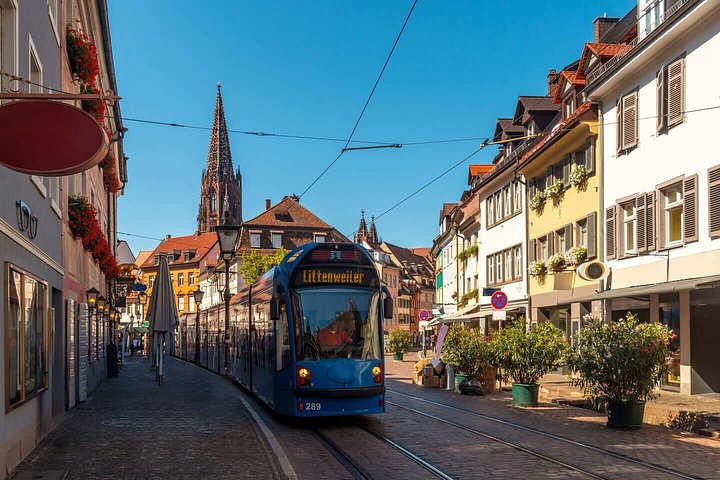 Bonjour Fribourg : Private 2 - Heure Intro City Walk avec Guide Local
