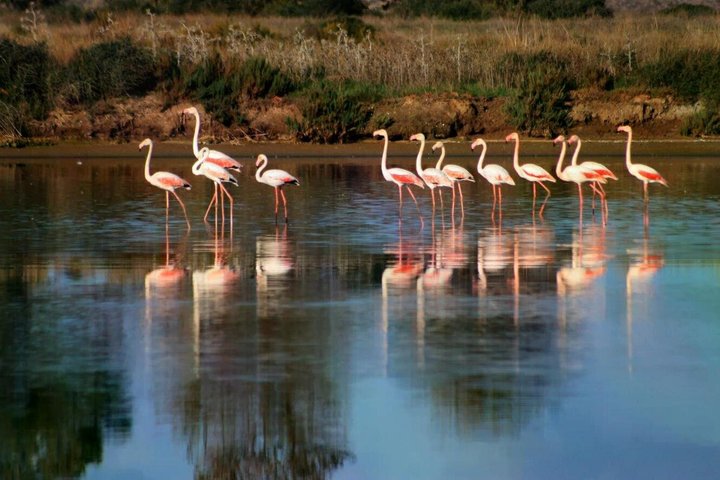 Autentica Algarve: Safari in Jeep 4x4 a Tavira, tra montagne e cascate.