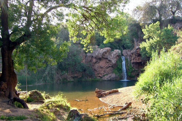Autentica Algarve: Safari in Jeep 4x4 a Tavira, tra montagne e cascate.