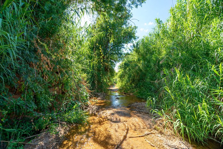 Autentica Algarve: Safari in Jeep 4x4 a Tavira, tra montagne e cascate.