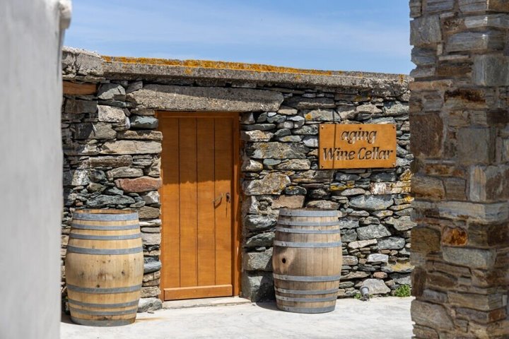 Vinprovning i Tinos: Havsutsikt Terrass Tour & Sommelier Guide