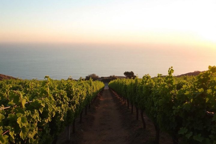 Tour Privado en Vino Descubre la Rosa en el Golfo de Saint Tropez